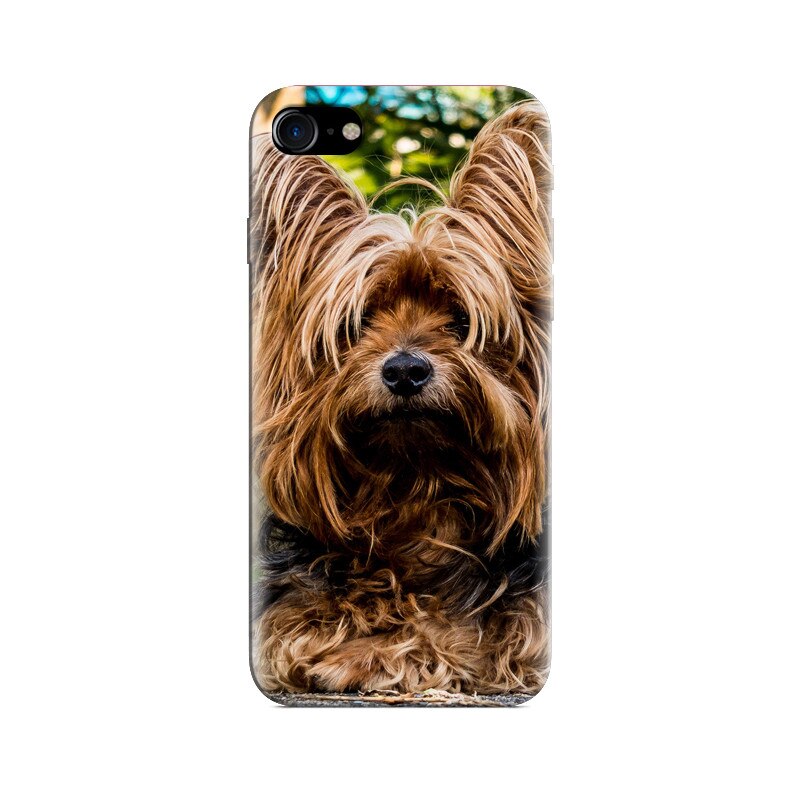 Husa Iphone 5s Yorkshire Pup