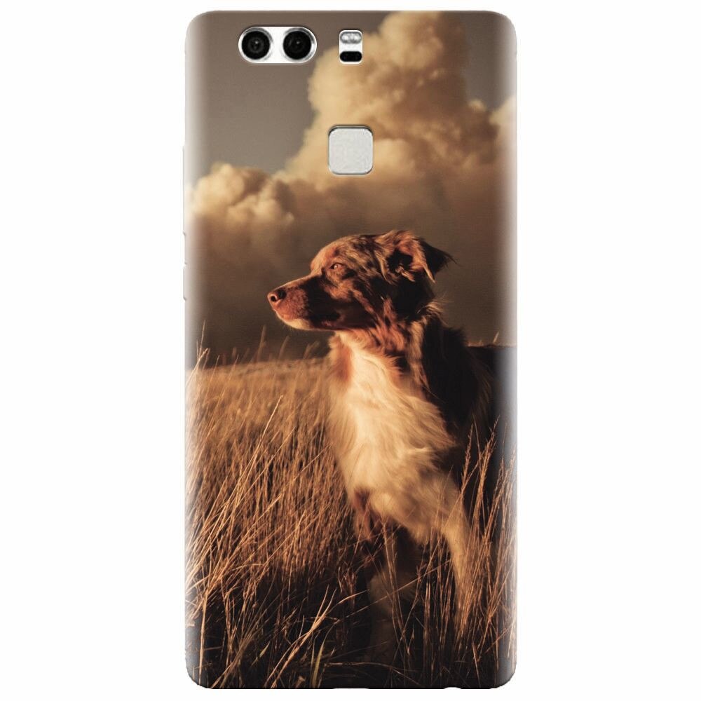 Husa silicon pentru Huawei P9 Plus, Alone Dog Animal In Grass