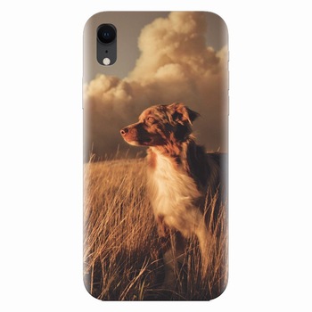 Husa silicon pentru Apple Iphone XR, Alone Dog Animal In Grass Husa silicon pentru Apple Iphone XR, Alone Dog Animal In Grass