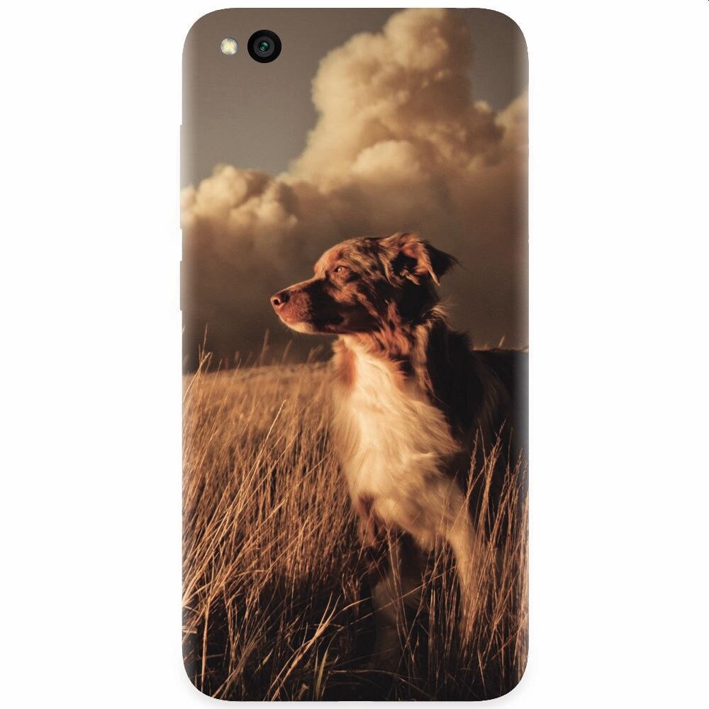 Husa silicon pentru Xiaomi Redmi Go, Alone Dog Animal In Grass