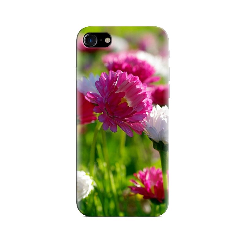 Husa Iphone 5 Springtime