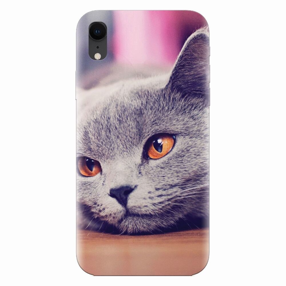 Husa silicon pentru Apple Iphone XR, British Shorthair Cat Yellow Eyes Portrait