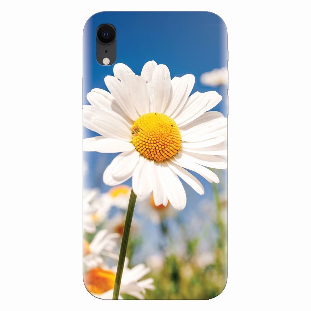 Husa silicon pentru Apple Iphone XR, Daisies Field Flowers