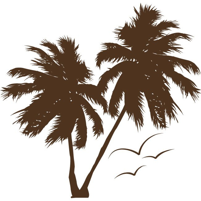Palm Tree - Sticker Decorativ - Choco - 110 x 107 cm