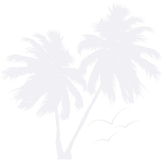 Palm Tree - Sticker Decorativ - Alb polar - 110 x 107 cm