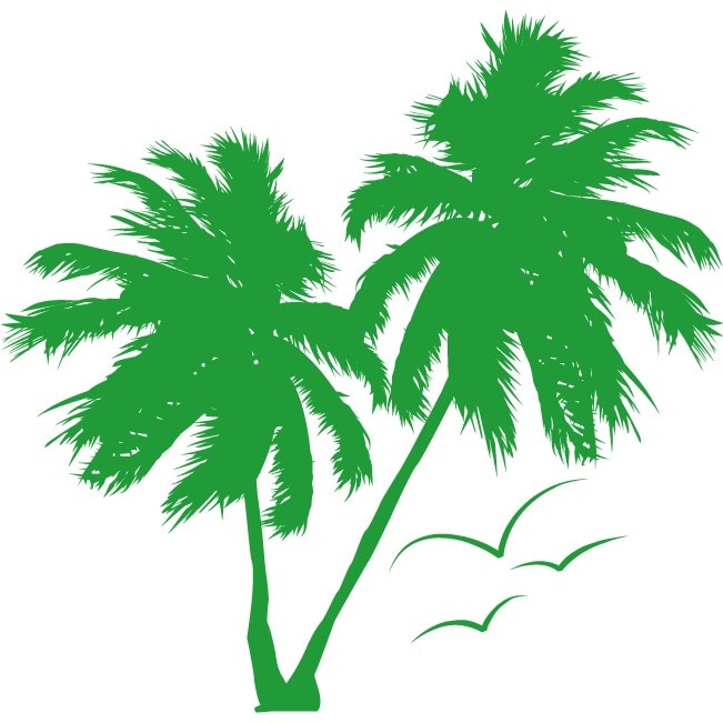 Palm Tree - Sticker Decorativ - Verde - 110 x 107 cm