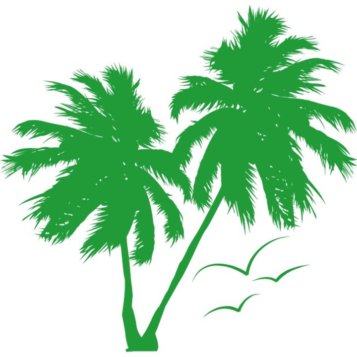 Palm Tree - Sticker Decorativ - Verde - 110 x 107 cm