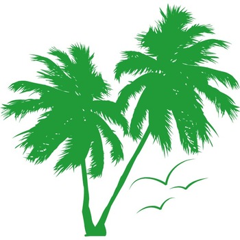 Palm Tree - Sticker Decorativ - Verde - 110 x 107 cm Palm Tree - Sticker Decorativ - Verde - 110 x 107 cm