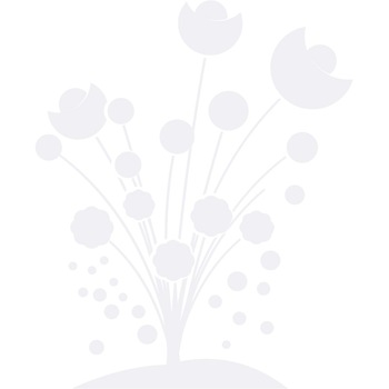 Buchet Lalele - Sticker Decorativ - Alb polar - 110 x 90 cm Buchet Lalele - Sticker Decorativ - Alb polar - 110 x 90 cm