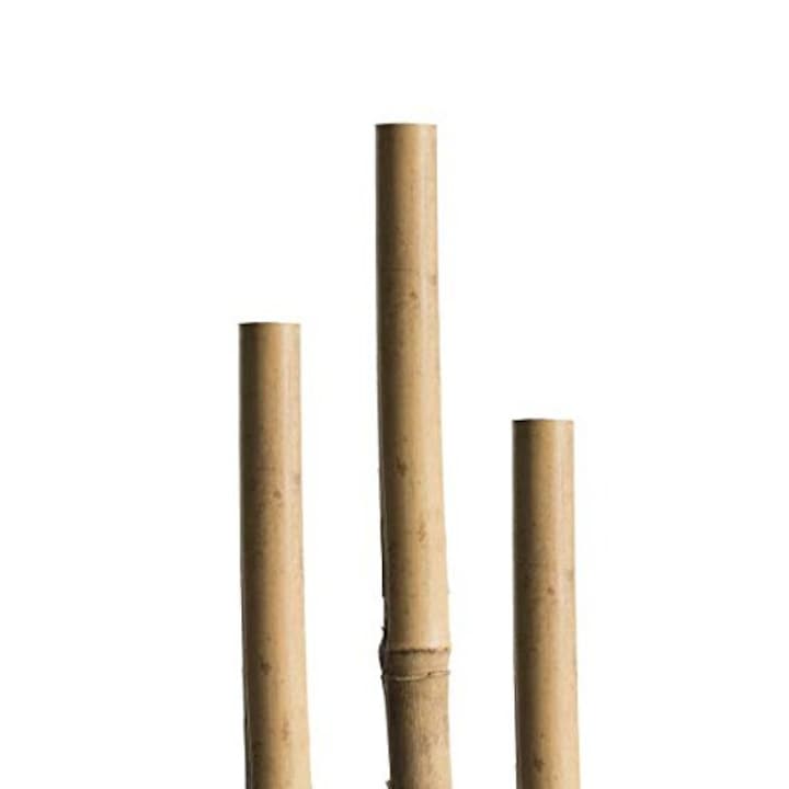 Bambusz rúd, virágtámasztó karó, 180 cm