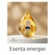 Ulei esential de cuisoare (Eugenia Caryophyllus Flower Oil) 10 ml 100% pur si organic, aromaterapie premium, energie intensa si activare profunda, Lakshmi
