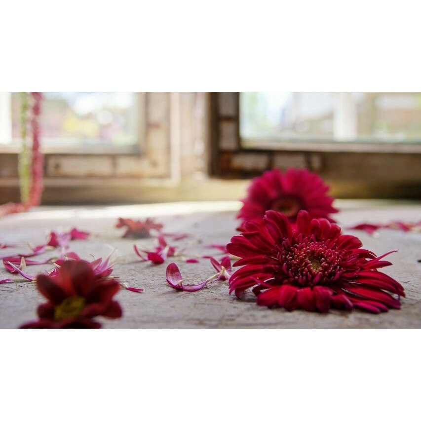 Tablou canvas Petale, 100x70 cm