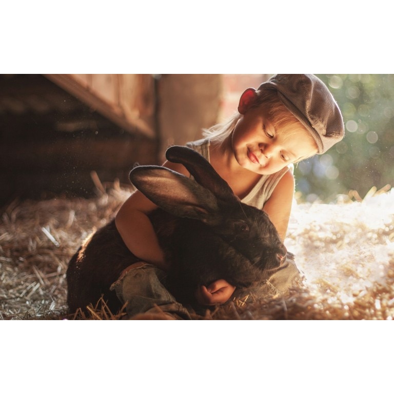 Tablou canvas Doi prieteni, 50x90 cm