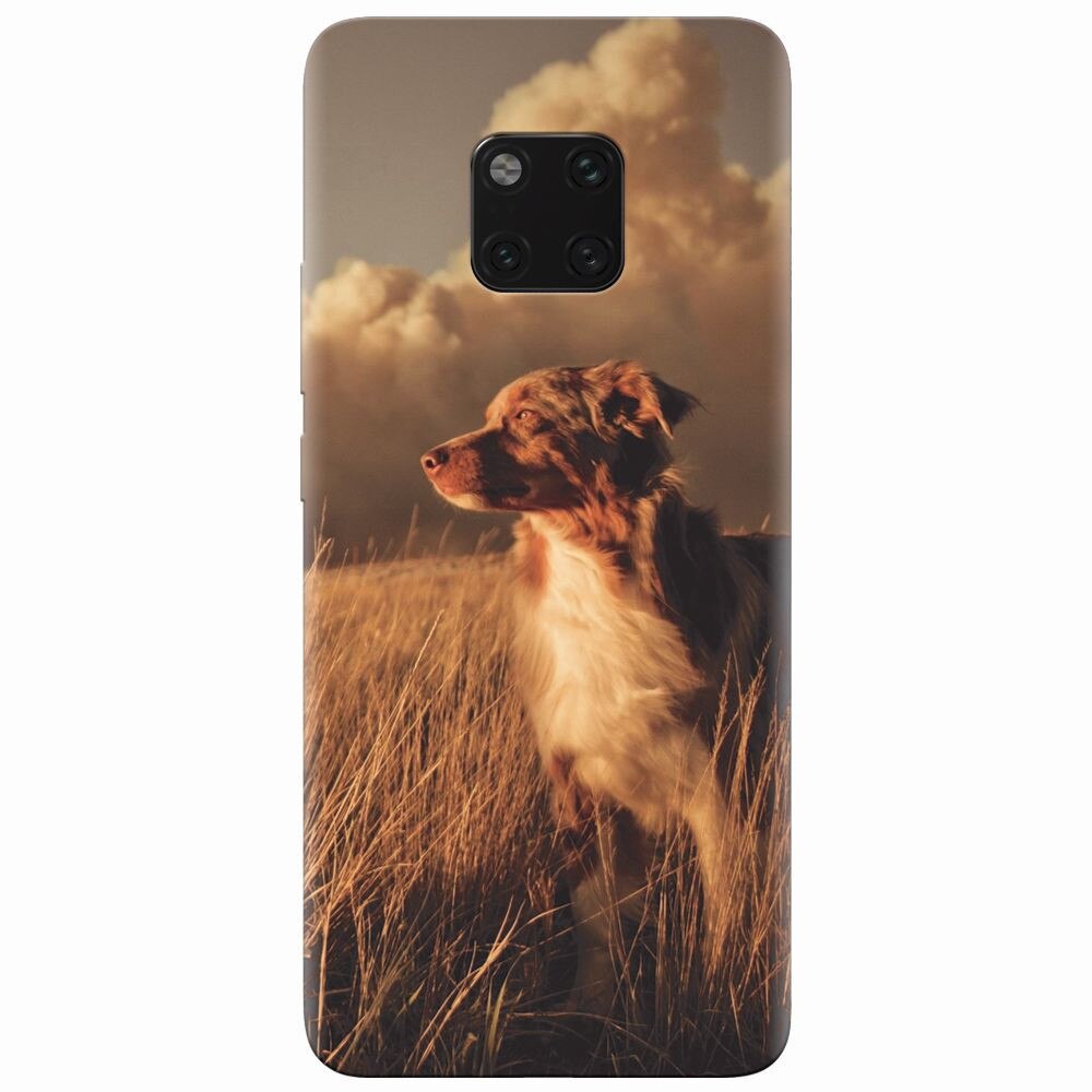Husa silicon pentru Huawei Mate 20 Pro, Alone Dog Animal In Grass