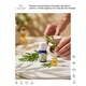 Ulei esential de tarhon (Artemisia Dracunculus Oil) 5 ml 100% pur si organic, aromaterapie premium, claritate dinamica si echilibru activ, Lakshmi