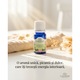 Ulei esential de tarhon (Artemisia Dracunculus Oil) 5 ml 100% pur si organic, aromaterapie premium, claritate dinamica si echilibru activ, Lakshmi