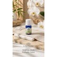 Ulei esential de tarhon (Artemisia Dracunculus Oil) 5 ml 100% pur si organic, aromaterapie premium, claritate dinamica si echilibru activ, Lakshmi