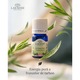 Ulei esential de tarhon (Artemisia Dracunculus Oil) 5 ml 100% pur si organic, aromaterapie premium, claritate dinamica si echilibru activ, Lakshmi