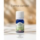 Ulei esential de tarhon (Artemisia Dracunculus Oil) 5 ml 100% pur si organic, aromaterapie premium, claritate dinamica si echilibru activ, Lakshmi
