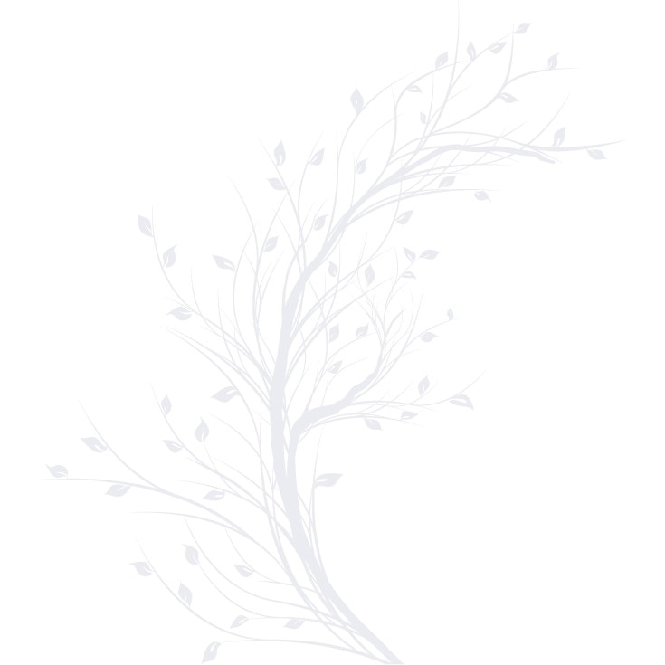 Copac toamna - Sticker Decorativ - Alb polar - 124 x 110 cm