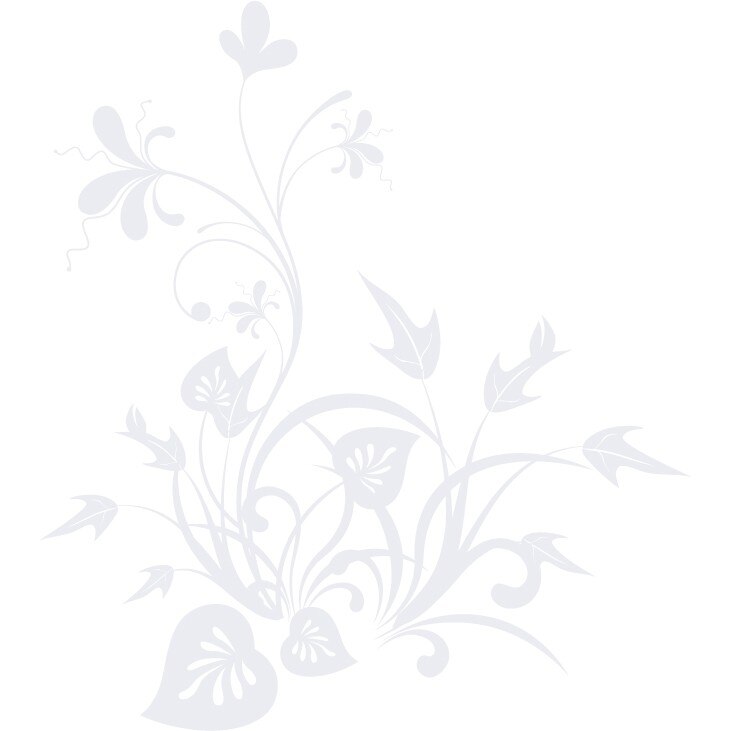 Cucerita de plante - Sticker Decorativ - Alb polar - 83 x 92 cm