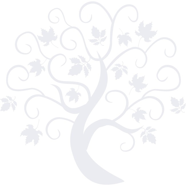 Toamna - Sticker Decorativ - Alb polar - 110 x 111 cm