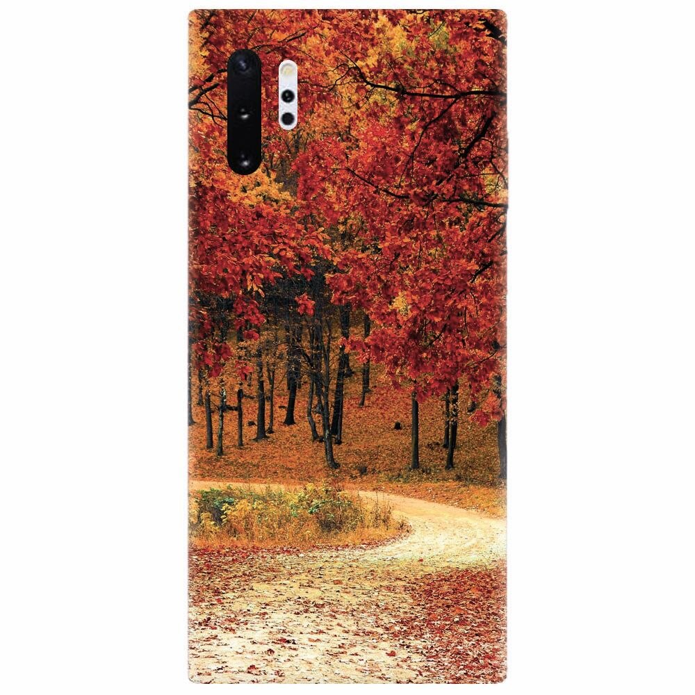 Husa silicon pentru Samsung Galaxy Note 10 Plus, Autumn