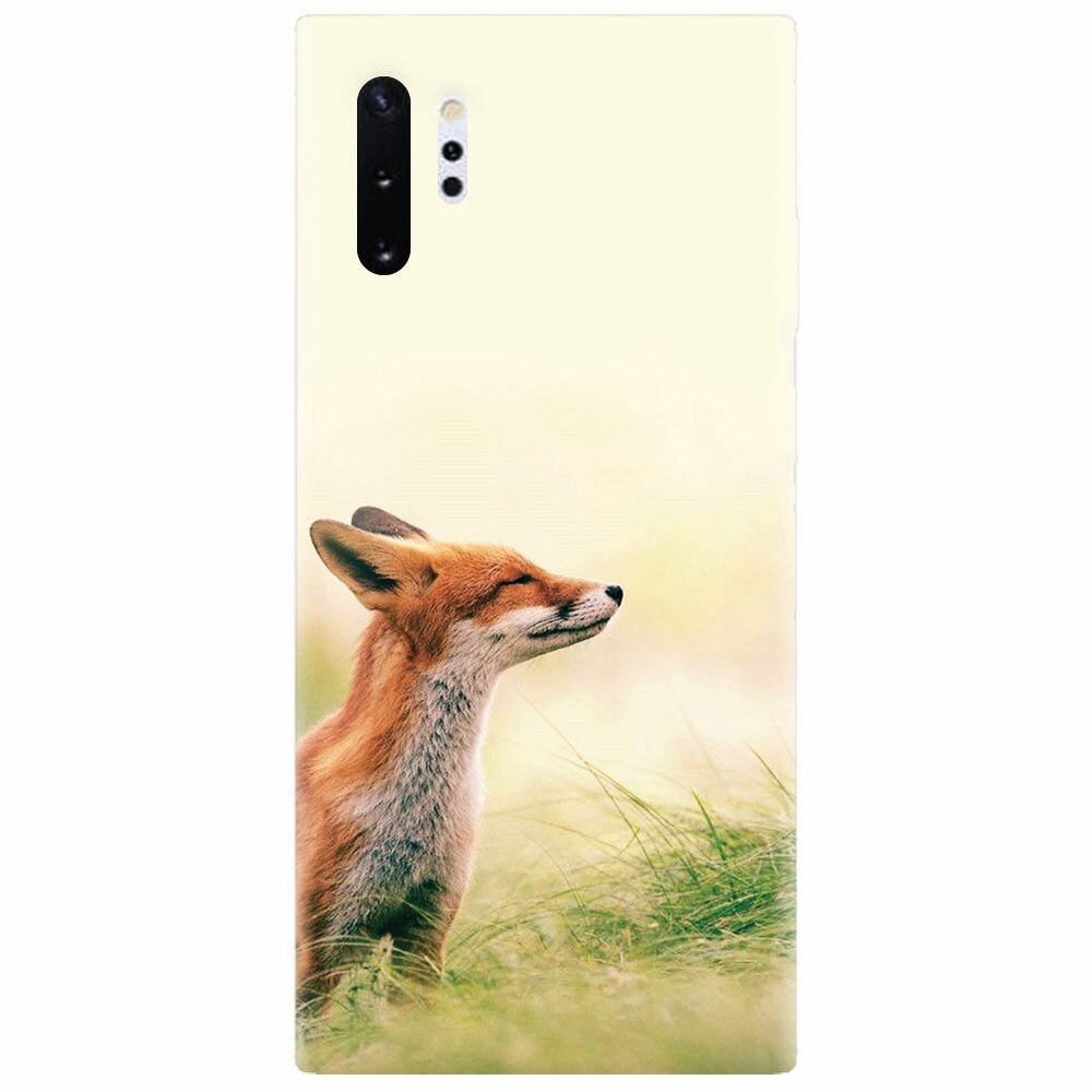 Husa silicon pentru Samsung Galaxy Note 10 Plus, Fox Scenting Breeze