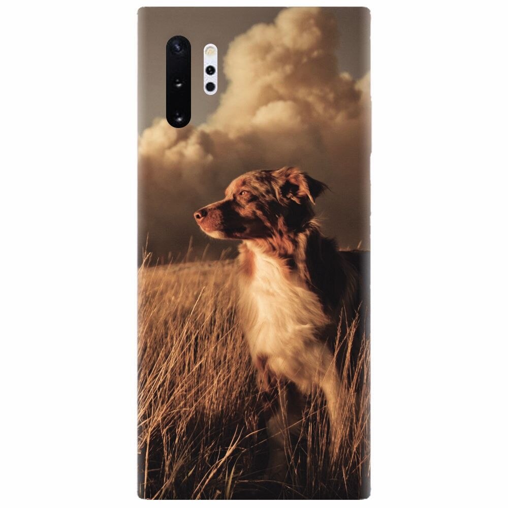 Husa silicon pentru Samsung Galaxy Note 10 Plus, Alone Dog Animal In Grass