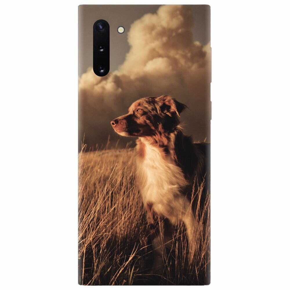 Husa silicon pentru Samsung Galaxy Note 10, Alone Dog Animal In Grass
