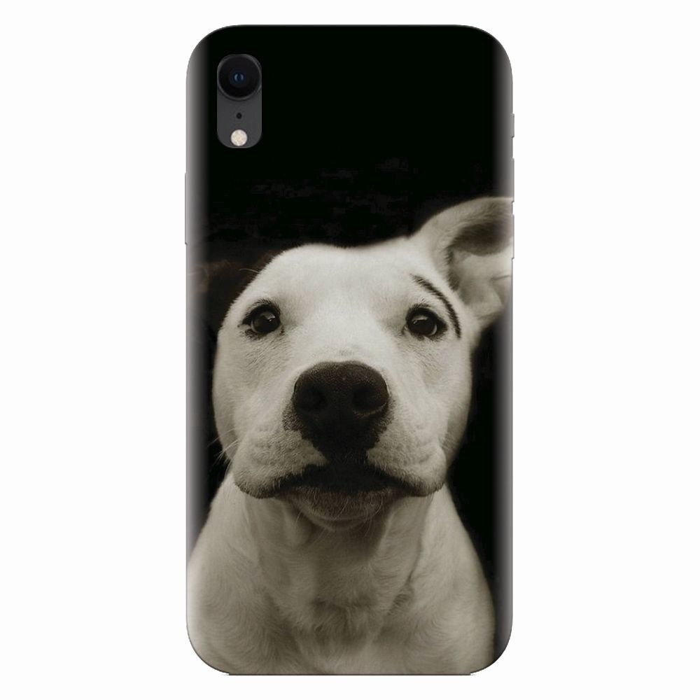 Husa silicon pentru Apple Iphone XR, Funny Dog