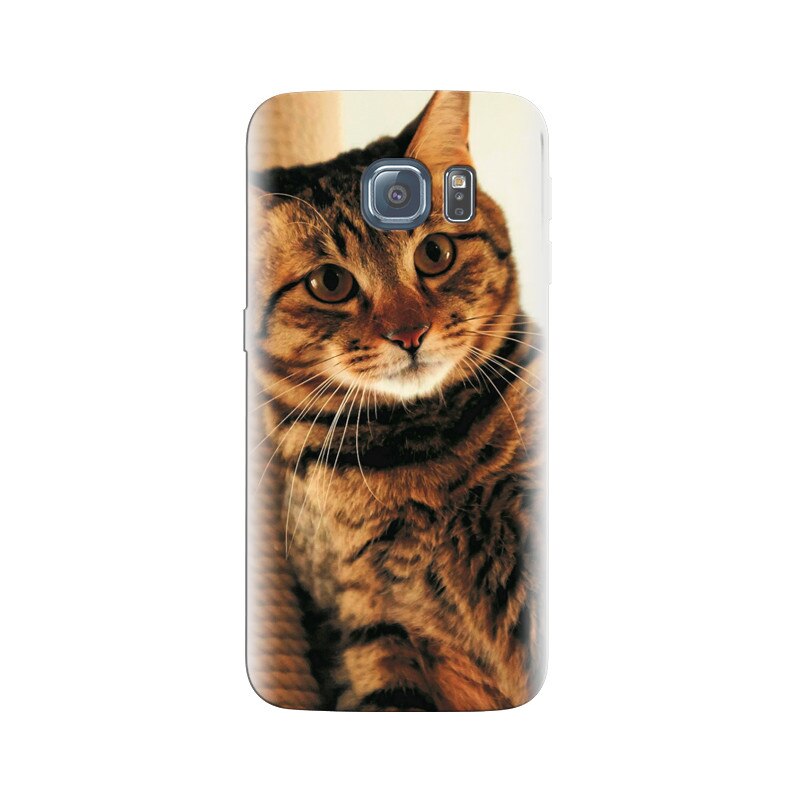 Husa Samsung S6 Edge Animal Cat High Qualitys Gallery