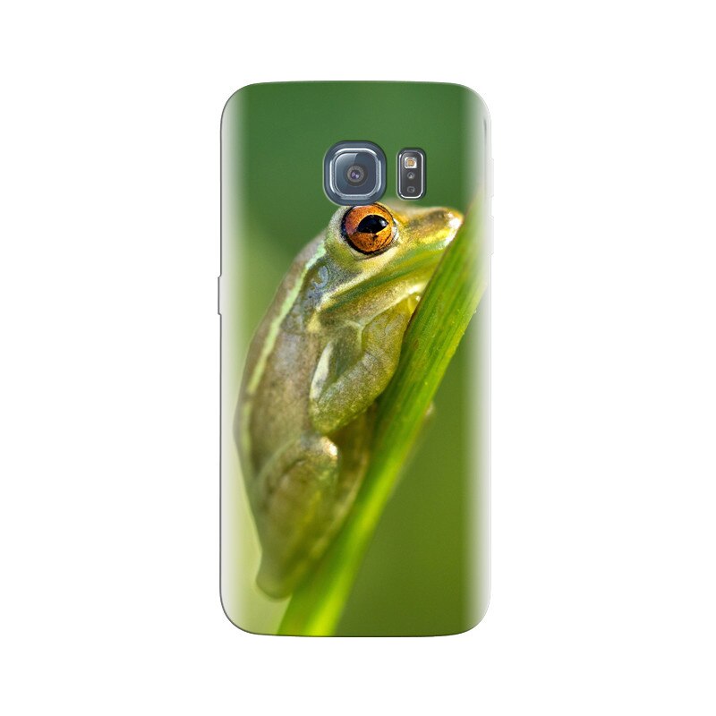 Husa Samsung S6 Edge Frog Sitting At Branch