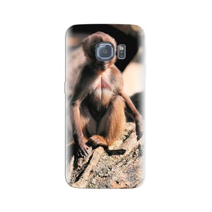 Калъфи за мобилни телефони