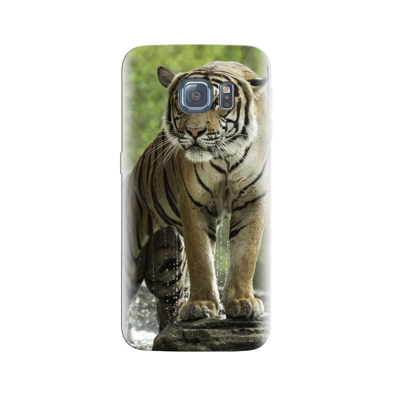 Husa Samsung S6 Edge Bathing Wet Tiger