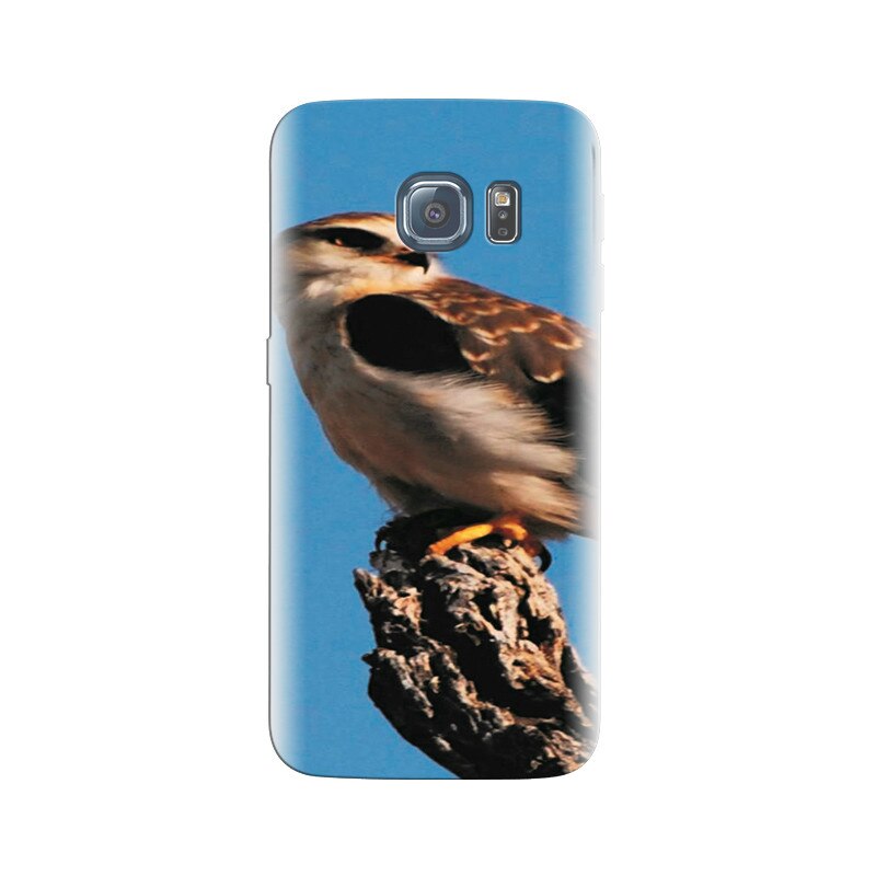 Husa Samsung S6 Kite Bird Indian