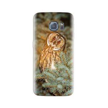 Husa Samsung S6 Owl At Spruce Branch Husa Samsung S6 Owl At Spruce Branch