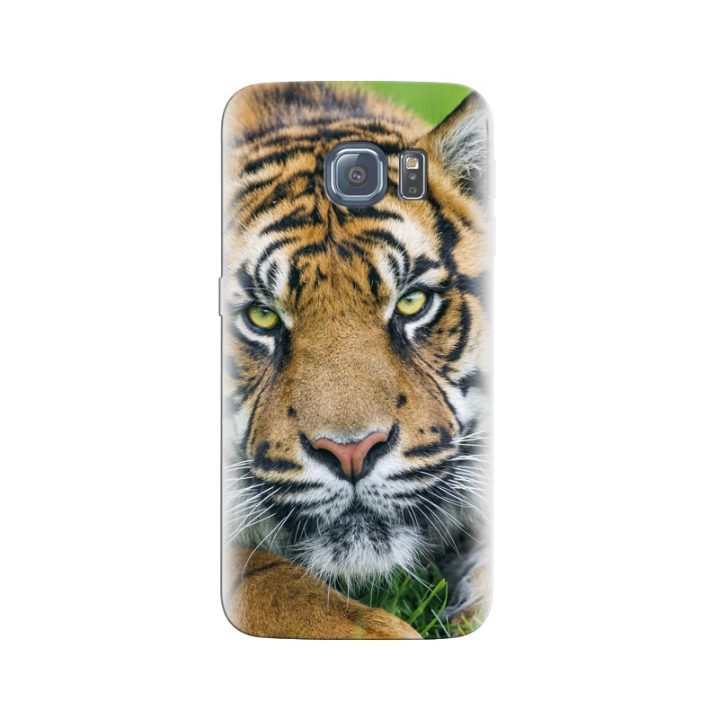 Husa Samsung S6 Sumatran Tiger Face