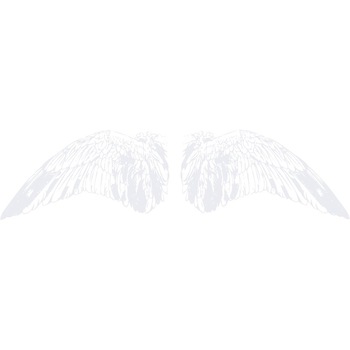 Aripi - Sticker Decorativ - Alb polar - 170 x 44 cm Aripi - Sticker Decorativ - Alb polar - 170 x 44 cm