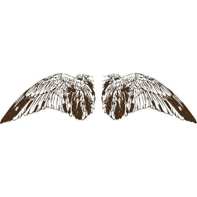 Aripi - Sticker Decorativ - Choco - 170 x 44 cm