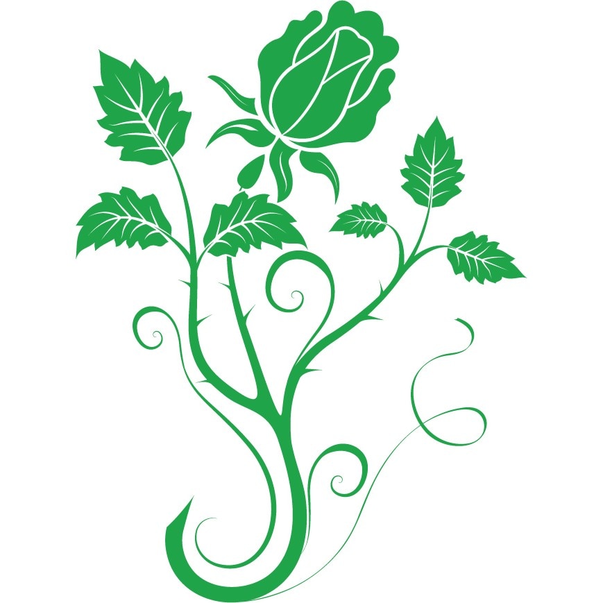 Panou trandafir - Sticker Decorativ - Verde - 83 x 111 cm