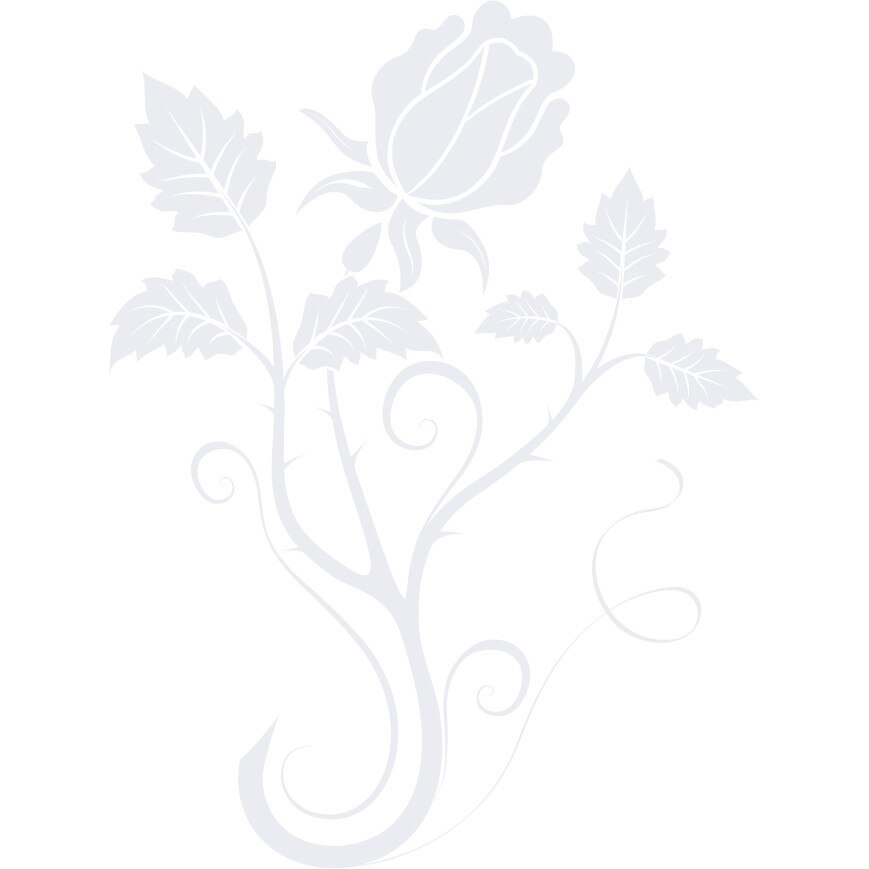 Panou trandafir - Sticker Decorativ - Alb polar - 110 x 147 cm