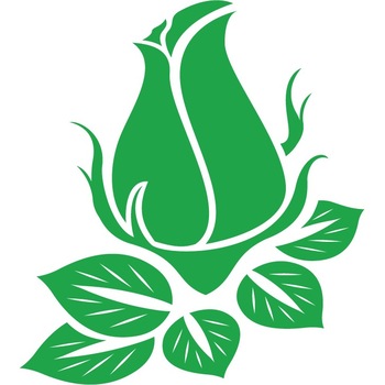 Trandafir boboc - Sticker Decorativ - Verde - 110 x 122 cm Trandafir boboc - Sticker Decorativ - Verde - 110 x 122 cm