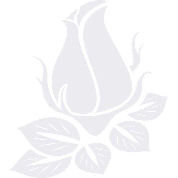 Trandafir boboc - Sticker Decorativ - Alb polar - 110 x 122 cm