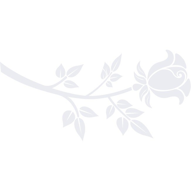 Fir de trandafir - Sticker Decorativ - Alb polar - 125 x 60 cm