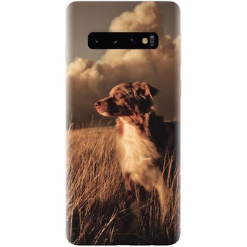 Husa silicon pentru Samsung Galaxy S10, Alone Dog Animal In Grass Husa silicon pentru Samsung Galaxy S10, Alone Dog Animal In Grass