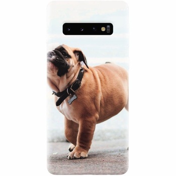 Husa silicon pentru Samsung Galaxy S10 Plus, Little Dog Puppy Animal Husa silicon pentru Samsung Galaxy S10 Plus, Little Dog Puppy Animal