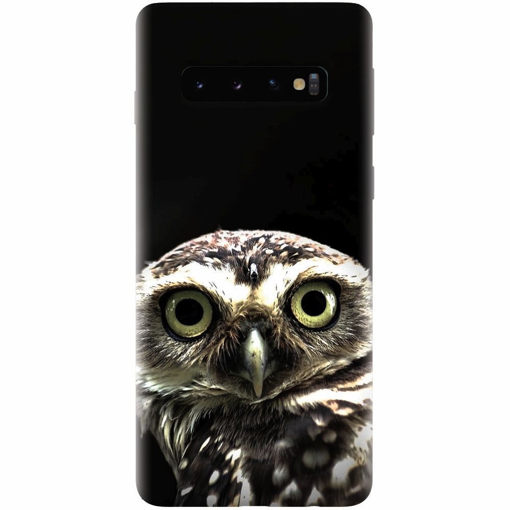 Husa silicon pentru Samsung Galaxy S10 Plus, Owl In The Dark