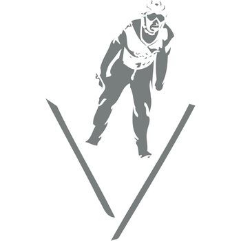 Schi - Sticker Decorativ - Gri Metal - 65 x 105 cm Schi - Sticker Decorativ - Gri Metal - 65 x 105 cm