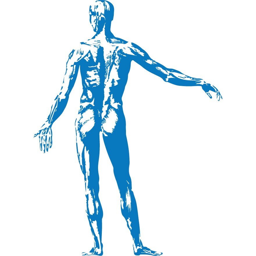 Homo sapiens - Sticker Decorativ - Albastru - 83 x 112 cm